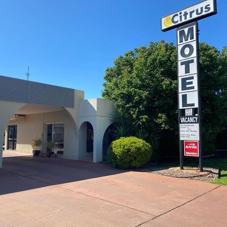 Citrus Motel Griffith Dış mekan fotoğraf