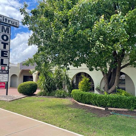 Citrus Motel Griffith Dış mekan fotoğraf