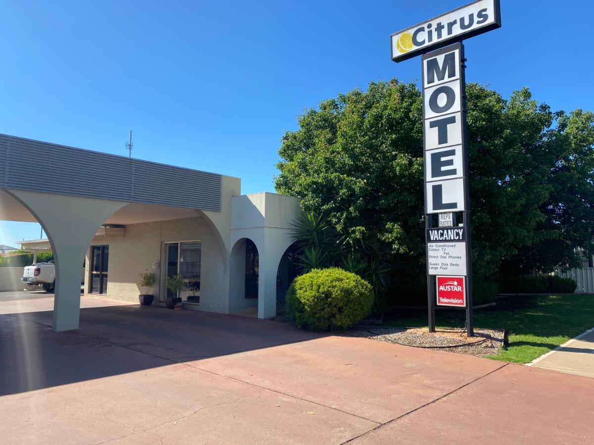 Citrus Motel Griffith Dış mekan fotoğraf